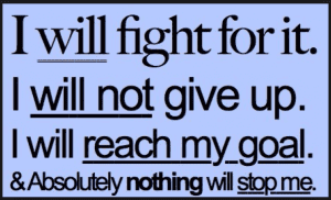 Long term goal setting Long term goal setting